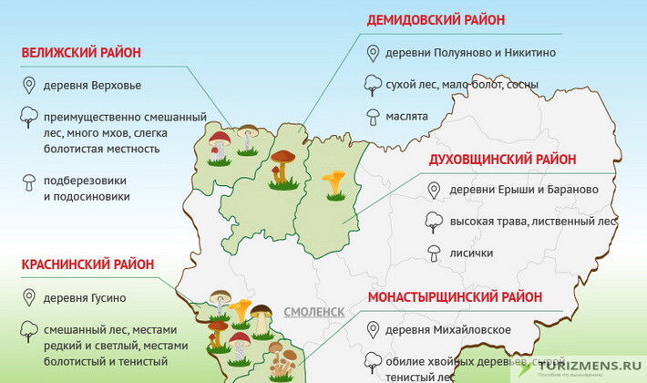 Грибные маршруты Ставропольского края