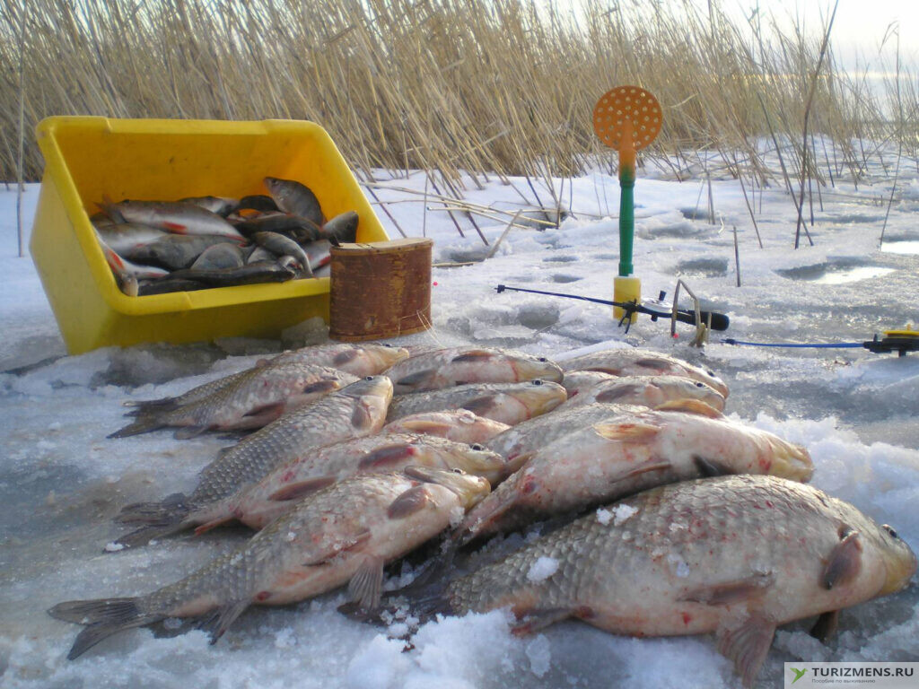 В поисках мест ловли рыбы в холодное время года