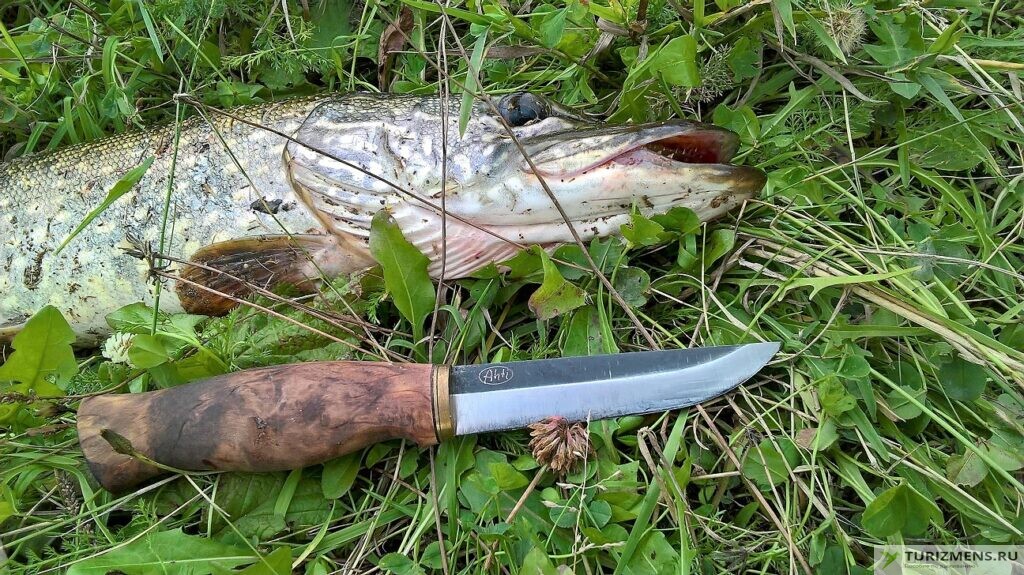 Виды рыбацких ножей