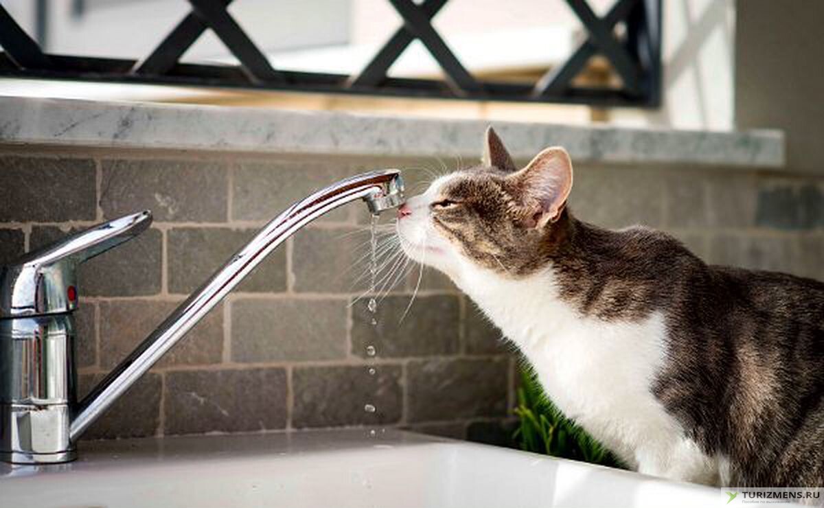 Этапы, системы и бытовые фильтры для очистки воды до состояния питьевой в домашних условиях