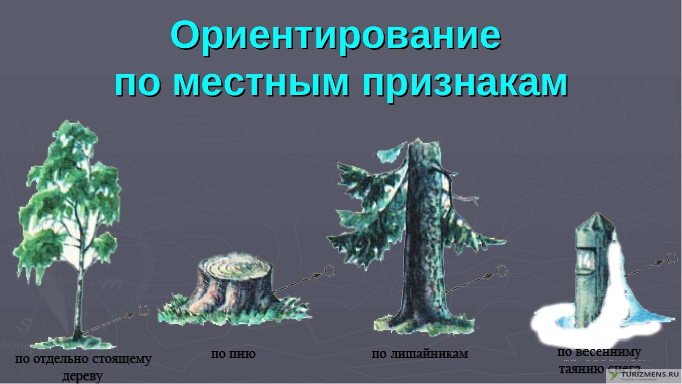 Ориентация на местности презентация 2 класс окружающий мир плешаков