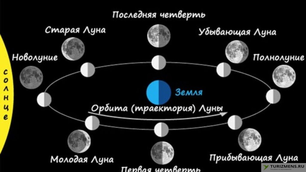 Лунные фазы