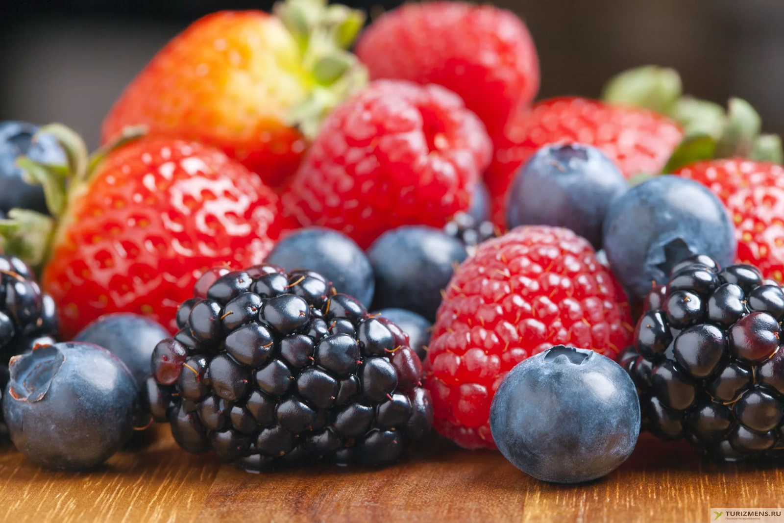 Опасные и съедобные ягоды — 20 видов с фото и описанием