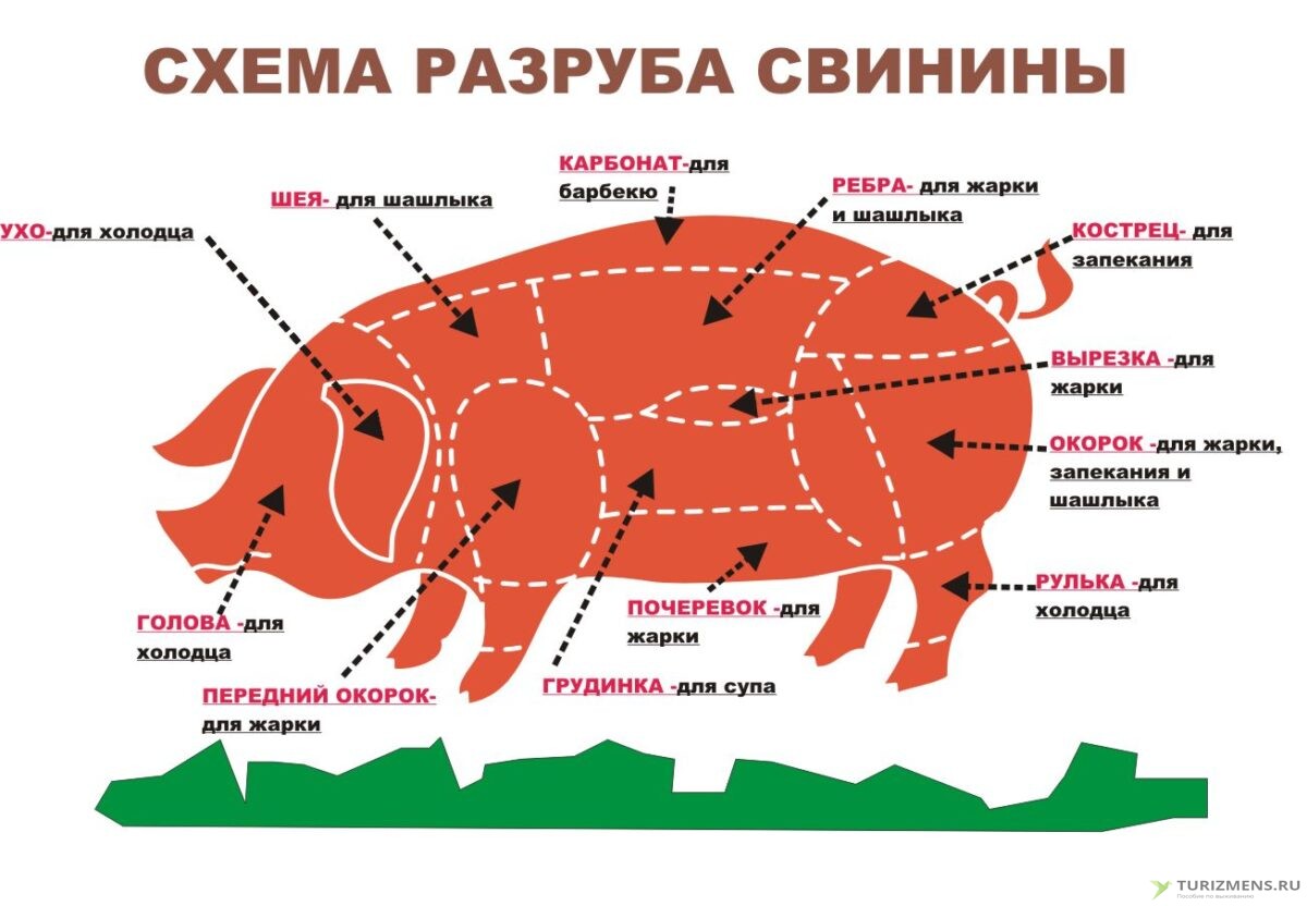 Как разделывать свинью схема