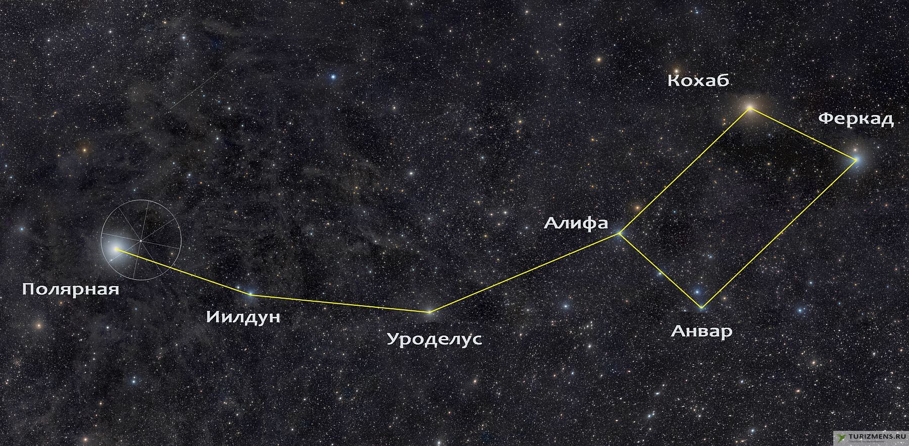 Самая яркая звезда 6 букв. Звезды большой и малой медведицы. Большая и малая Медведица Полярная звезда. Созвездие Альфа Центавра. Большая и малая Медведица звёзды в созвездии.